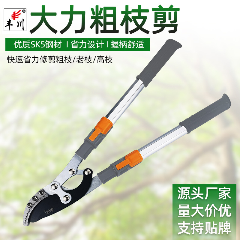 厂家供应 伸缩大力剪 粗枝剪 大力士剪 园林果树剪园林工具修枝剪