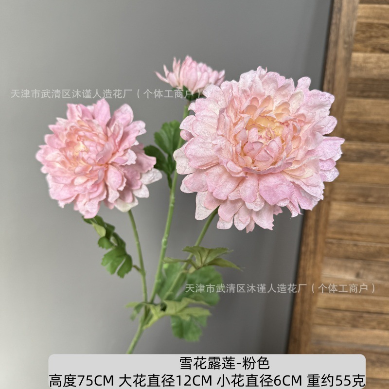 눈송이 연꽃