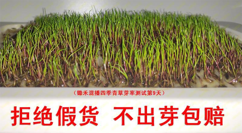 微信图片_20220918133730