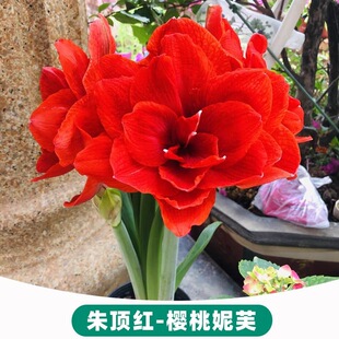�M����피t��Ʒ�ذ��_�������F�z����������c