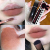 Lipstick, matte lip gloss, translucent shading