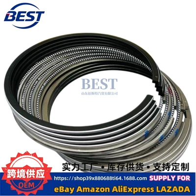 Piston, piston ring, piston pin Hyundai Kia Engine Ring