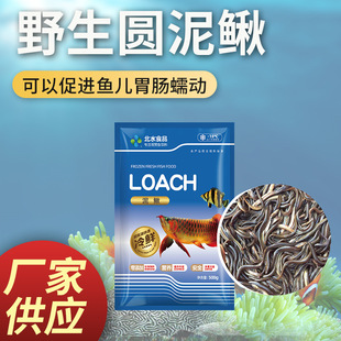 North water factory northeast black round Loach a catty plate wholesale spot factory direct Dragon Tiger large ornamental fish fish food