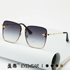 Fashionable sunglasses, 2023 collection, European style