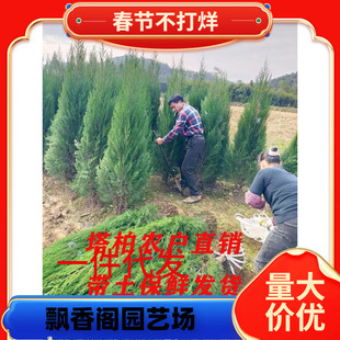 һ�����l���ش����С�ɰ����əu�ذؘ���u���������ر���ļ��L