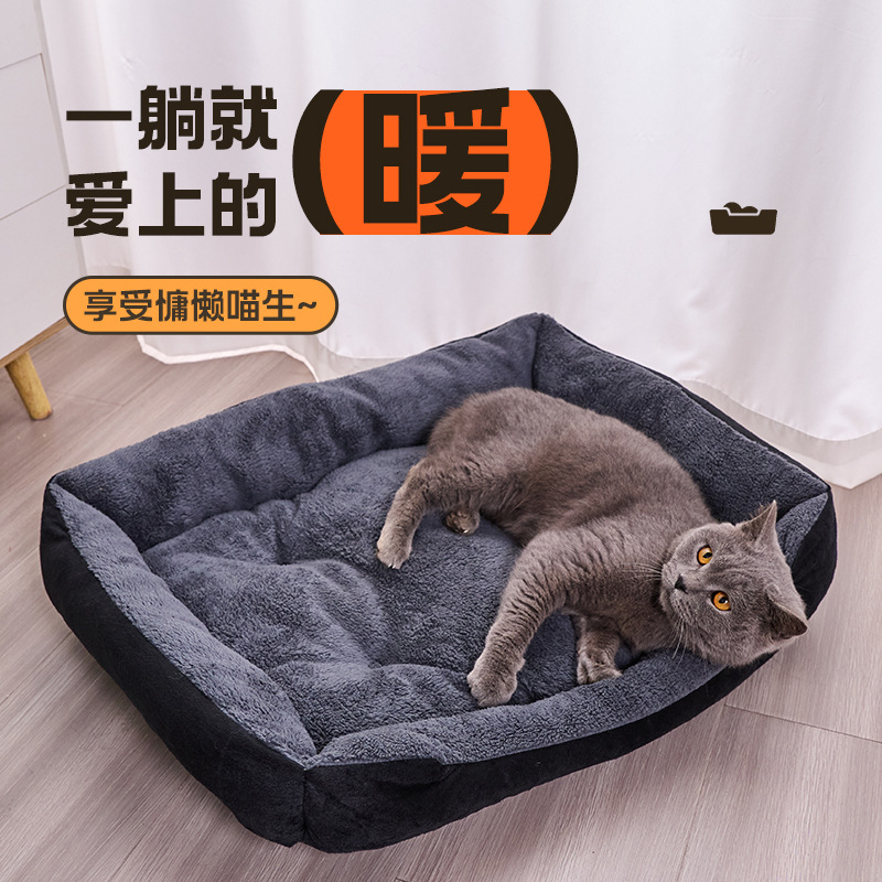 Invierno grueso gato perro