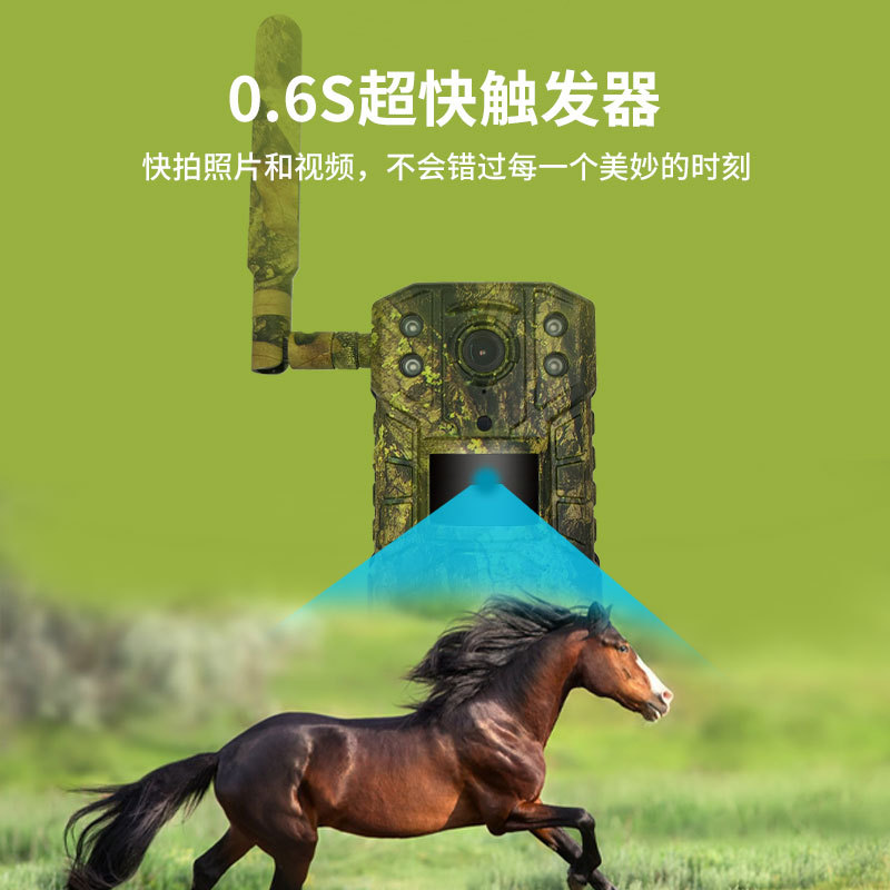 Ruitin fábrica de detección de campo transfronteriza animal Cámara HD al aire libre impermeable solar cámara de vigilancia