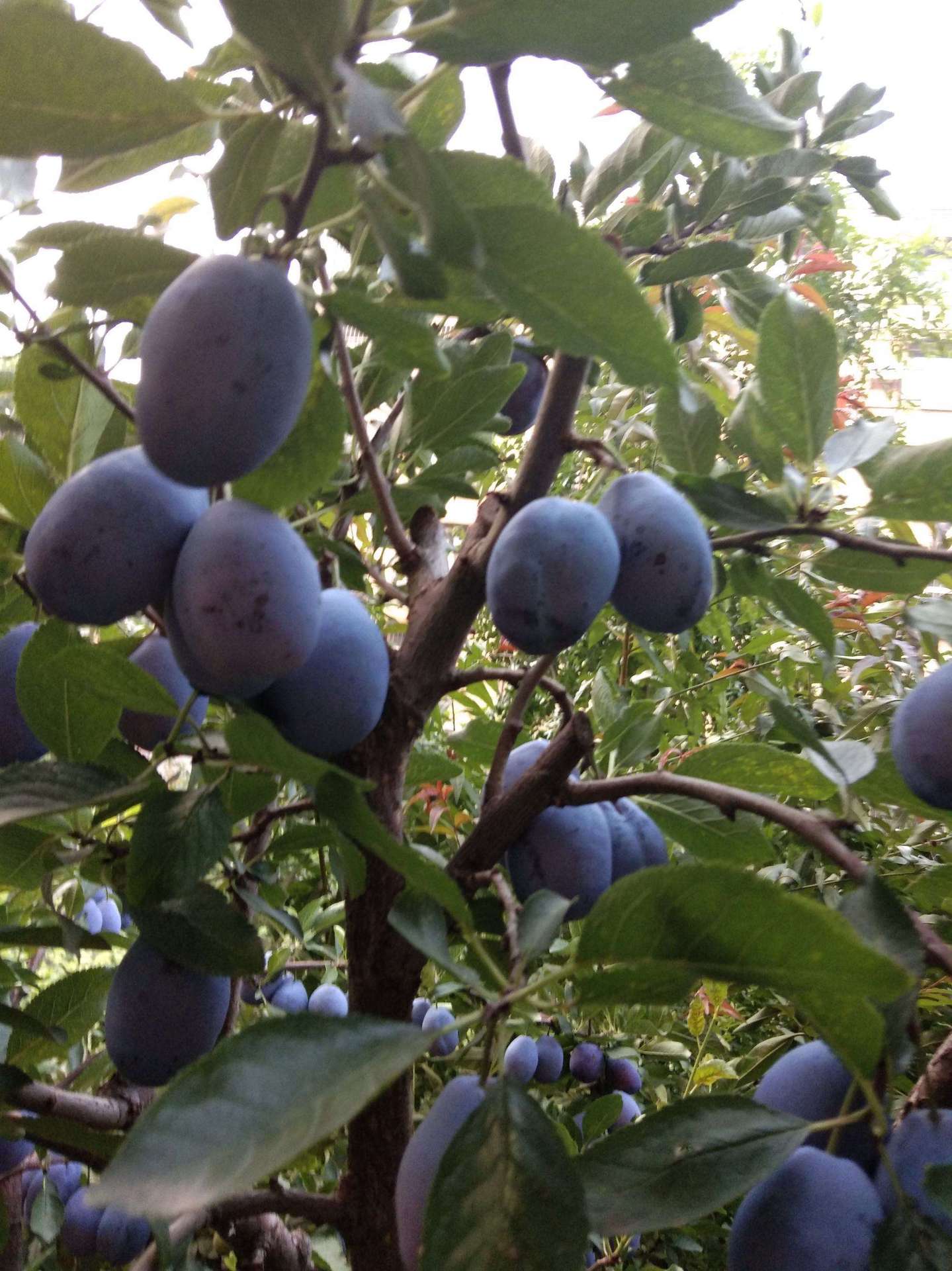 微信圖片_202307191046051