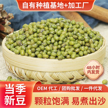 新绿豆批发5斤生绿豆芽沙蜜豆五谷煮杂粮粥绿豆汤绿豆沙皮薄易煮