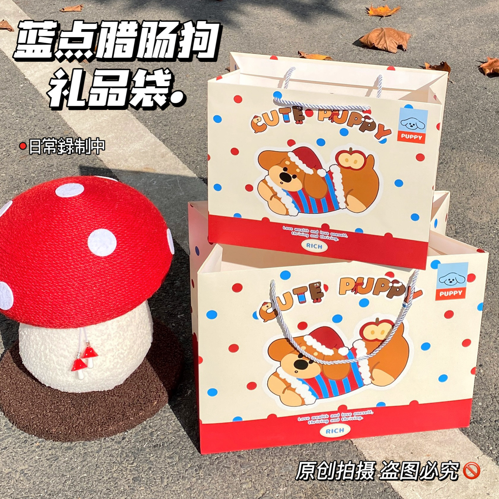 블루 도트 닥스훈트; 흰색 판지; 대형 30*24*12cm