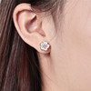 Design fashionable universal elegant earrings, light luxury style, trend of season, internet celebrity, wholesale