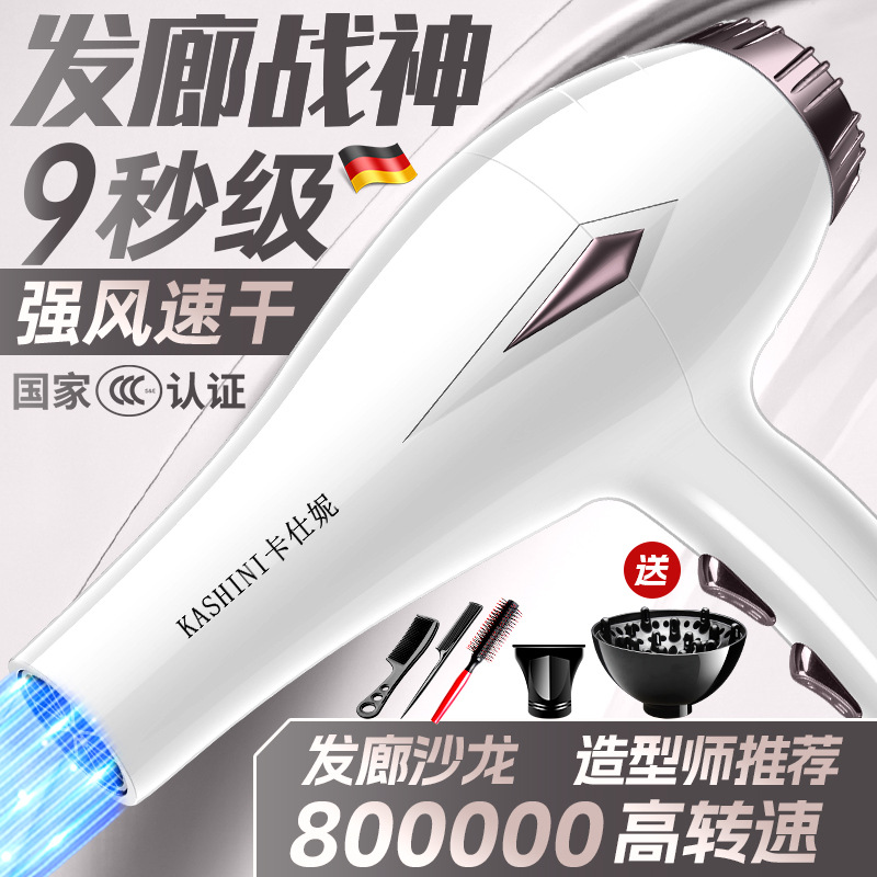 Cross-Border Household Appliances Hair Dryer High-Power Barber Shop Hot and Cold Air Negative Ion High Wind Silent Hair Dryer