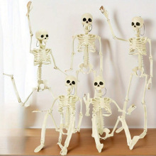J 92116 Poseable Skeleton Decoration �ؽڿɶ����üܿ羳