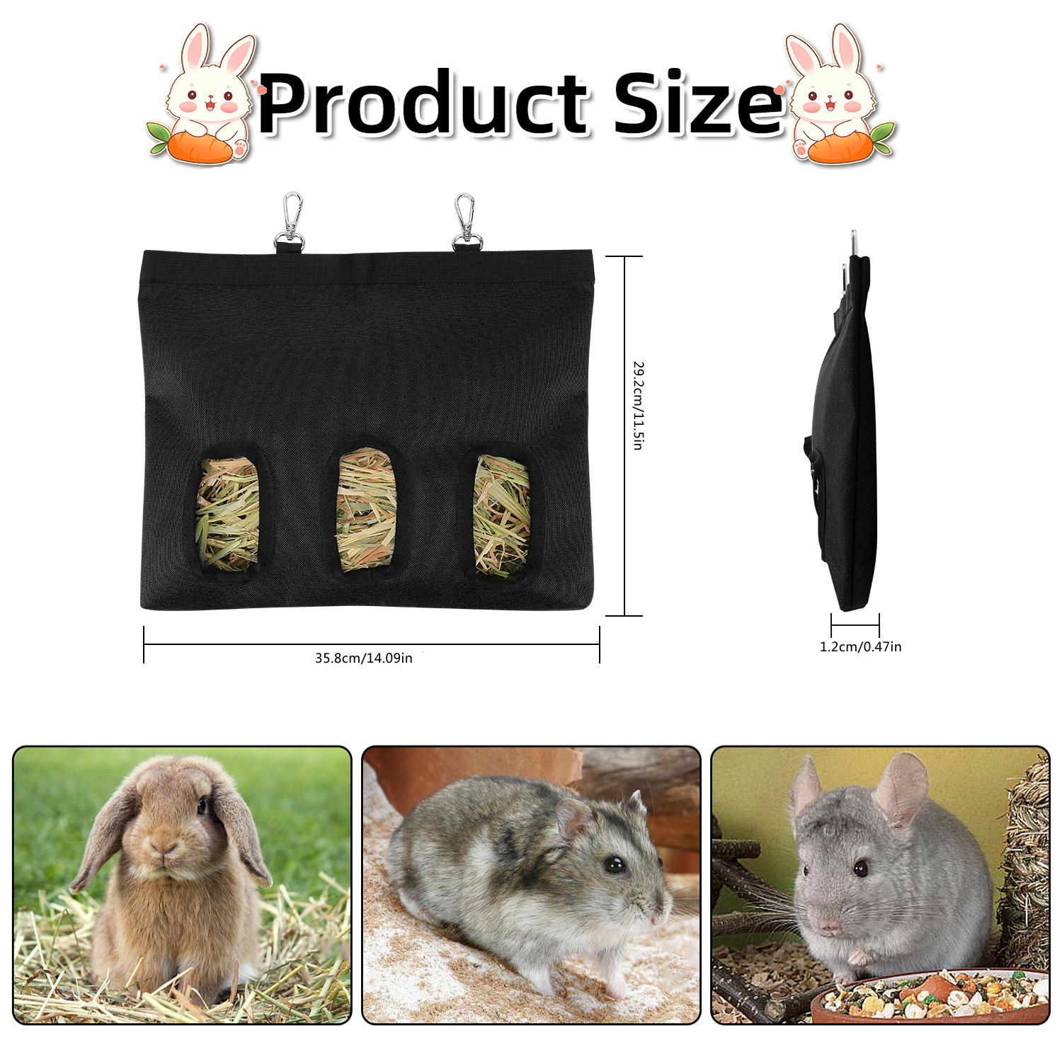 唐 3孔黑色 尺寸