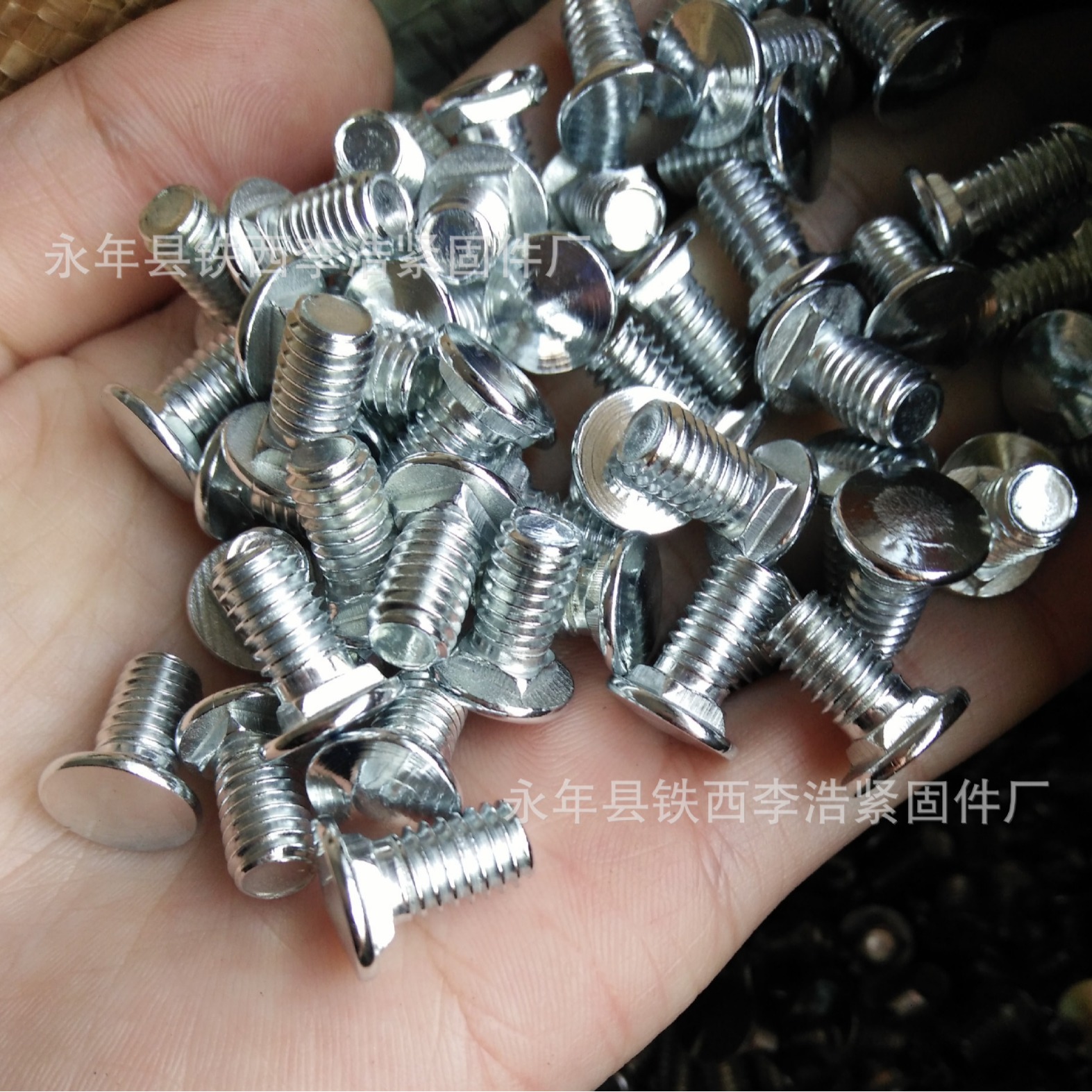 2024-03-05 11:09:29.jpg