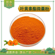 叶黄素酯微囊粉5%水溶性叶黄素酯粉万寿菊萃取另有叶黄素酯粉现货