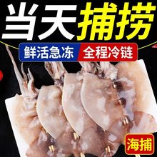 铁板鱿鱼串新鲜烧烤冷冻半成品海鲜火锅食材商用批发跨境独立站