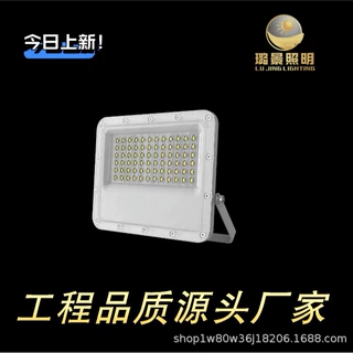 LED大功率投光灯户外防水广场射灯强光超亮球场探照灯工地泛光灯