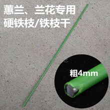 �����m֧������ֲ�����͹̶������F�z��ޥ�m4mm�Gɫ��֦�F֦