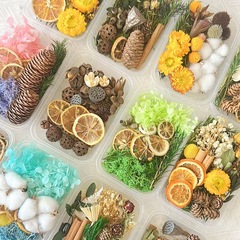 ドライフルーツドライフラワーdiy材料バッグ天然植物風乾クリスマス松果シナモン手作りins装飾装飾品永生