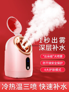 Hot and Cold Dual-Spray Facial Steamer, Household Nano-Spray Hydration Device, Facial Steamer, Facial Moisturizer, Is for Beauty Salons