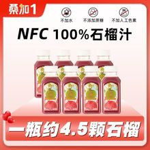 桑加1nfc100%石榴汁原果鲜榨无添加非浓缩突尼斯软籽网红饮料瓶装