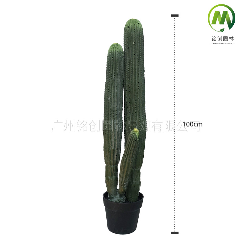 Decoración de paisajismo de plantas falsas en el desierto tropical image 23