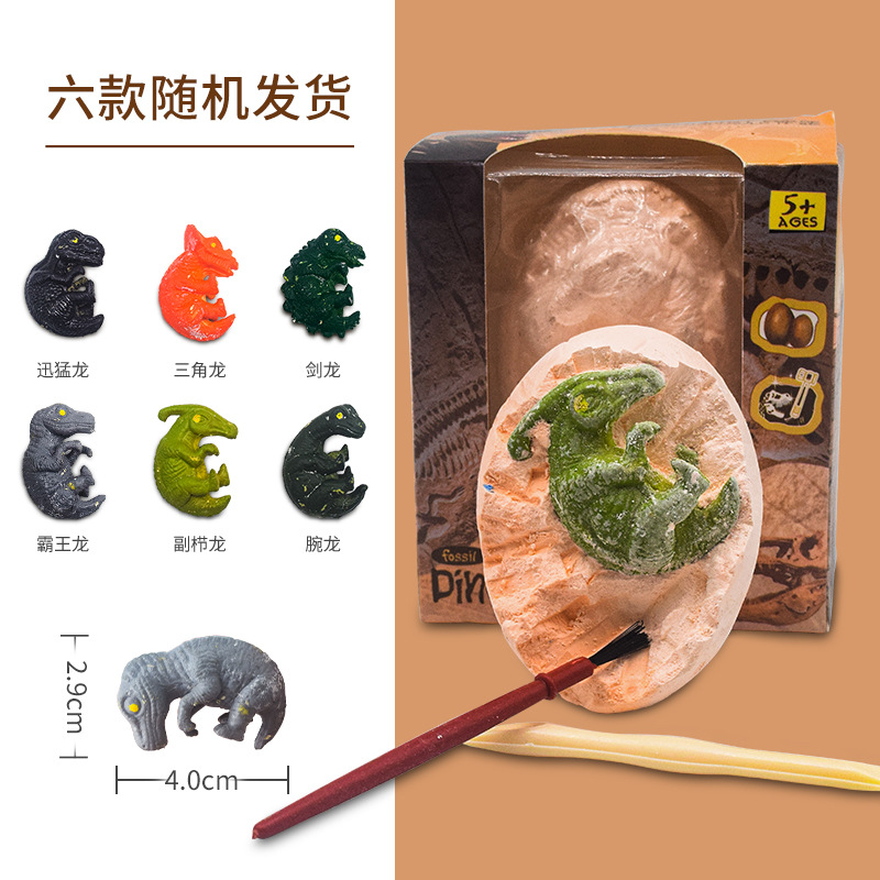 고고학 공룡 달걀 새끼 12/1 상자