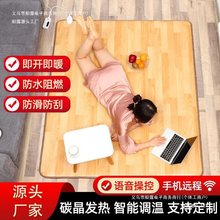 石墨烯炕韩国电热膜家用垫碳晶地毯客厅电热电暖地暖加热地垫发热