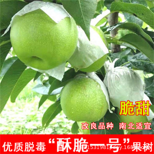 ��Ʒ�N�����ִ�1̖��G��ʯ���������Ա��Ϸ�ͥԺ�Nֲ