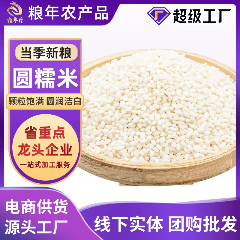 东北五常圆糯米新米袋装酿酒饭团粽子专用五谷杂粮粘糯米厂家批发
