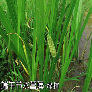 Ұ�����繝���Ѱ���ˮ��ˮ���Ѵ�ǰ�YƷ���݄������~���Ò��T