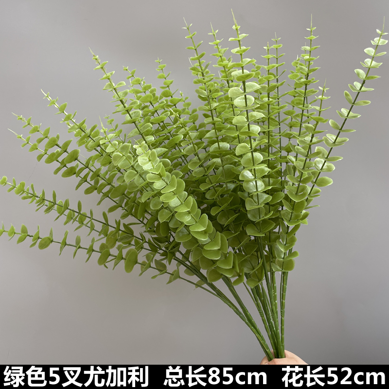 녹색 높은 가지 유칼립투스