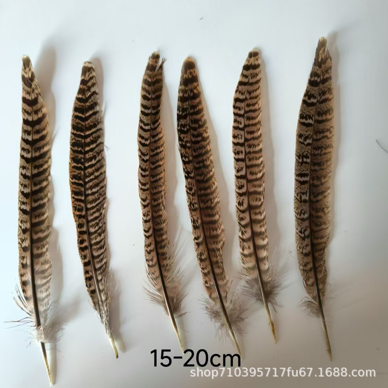 Fábrica al por mayor pelo de faisán 10-90cm cola de faisán pluma de bricolaje danza plumas de faisán cola de gallina palo de gato divertido image 7