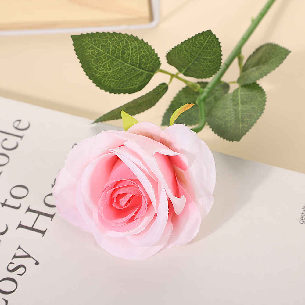 실크 엘보우 파우더 코어