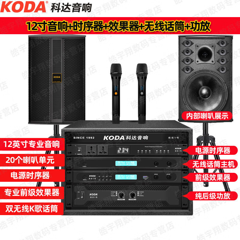 Qisheng プロフェッショナルワイヤレスマイクホーム 1 対 2 マイク ktv ステージパフォーマンス会議マイクマイク|undefined