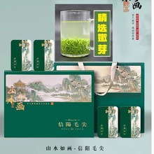 信阳毛尖2023年新茶精品头采毛尖茶叶绿茶礼盒装多规格