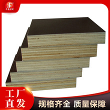 ���B��ģ�� ���ϏS�����l ���ֲ����ָ�ģ�� ���D�Δ��� �r�񌍻�