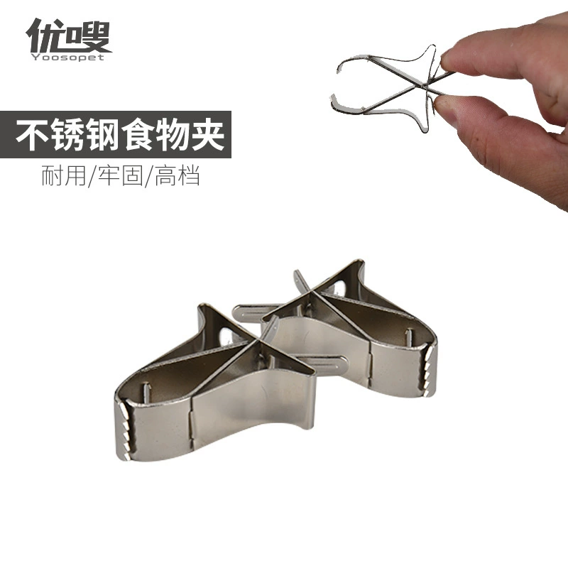 Отличный свист Попугай птица еда клип овощи фрукты клип нержавеющая сталь Чернила рыба кость фрукты вилка закуска клип оптом