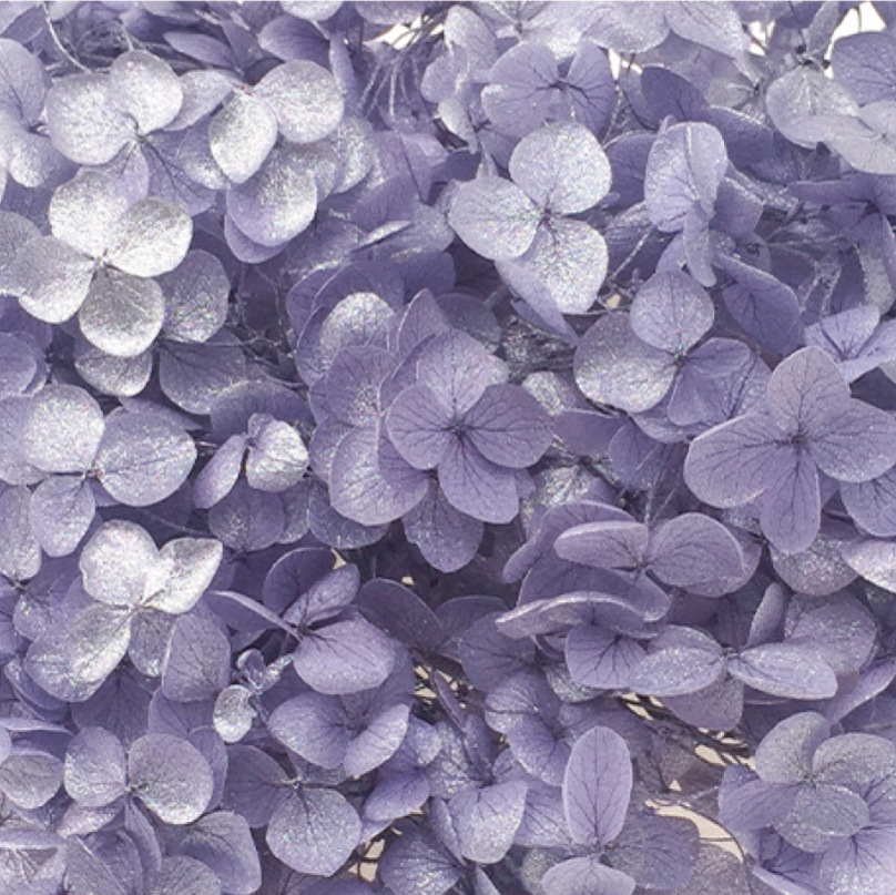 Anna Hortensia púrpura oscuro + silver-20g/caja_2
