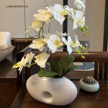 仿真蝴蝶兰套装高档新款假花盆栽客厅电视柜中式轻奢桌面兰花盆景