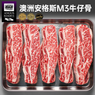 �����ϰ�ԭ��ţ����������˹���M5ţ�йǺ�ţţС�ź���ѩ��ţ��