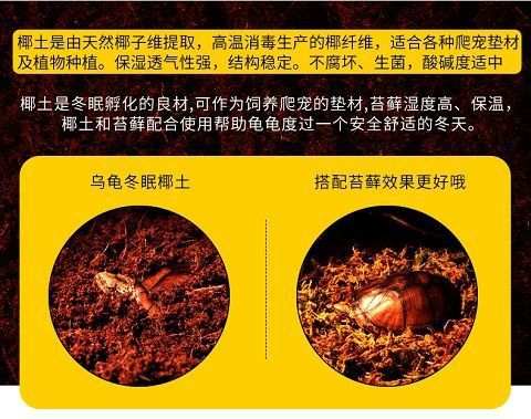 7b29e651-3017-4c54-8781-69898ac51b48.jpe