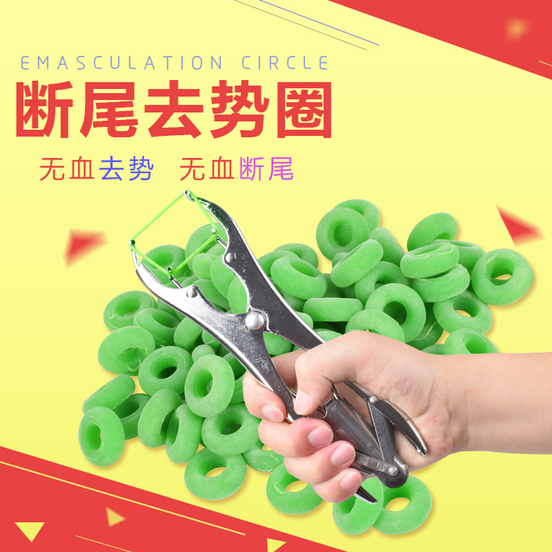 Anillo de corte de cola para lechones y alicates de anillo de castracion de ovejas alicates de expansion alicates de corte de cola para alicates de corte de cola de cerdo alicates veterinarios de castracion sin sangre