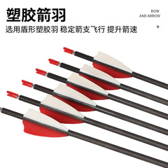 弓箭碳素箭支內徑4.2mm細箭 箭館競技反曲弓傳統射箭純碳箭射准箭