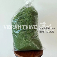 糸状コケ500g/家庭緑化造景生け花偽コケ微景観写真撮影芝生