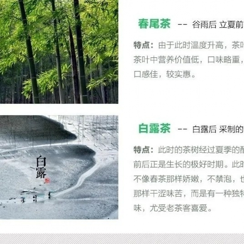 新茶绿茶毛尖信阳高山茶叶高档礼盒装嫩叶茶耐泡好喝信阳本地发货|undefined