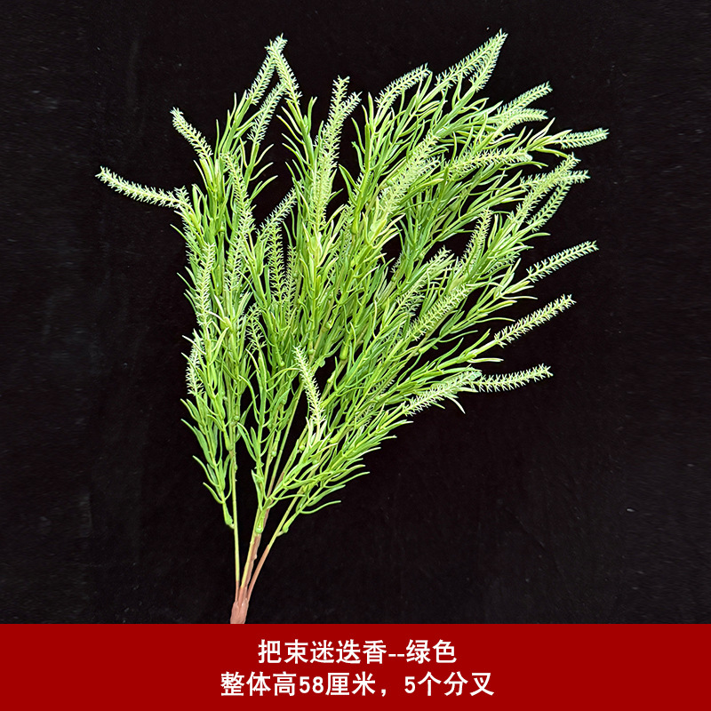로즈마리 다발 - 그린