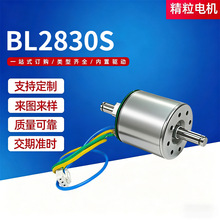 BL2830S����ǰ�Ħ����ˢ������ܼҾ�΢�ͼ�����ѹ����ˢ����