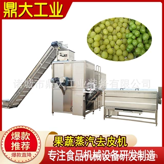 黄桃罐头加工蒸汽脱皮机 隆坤 葡萄全自动加工设备生产线厂家现货